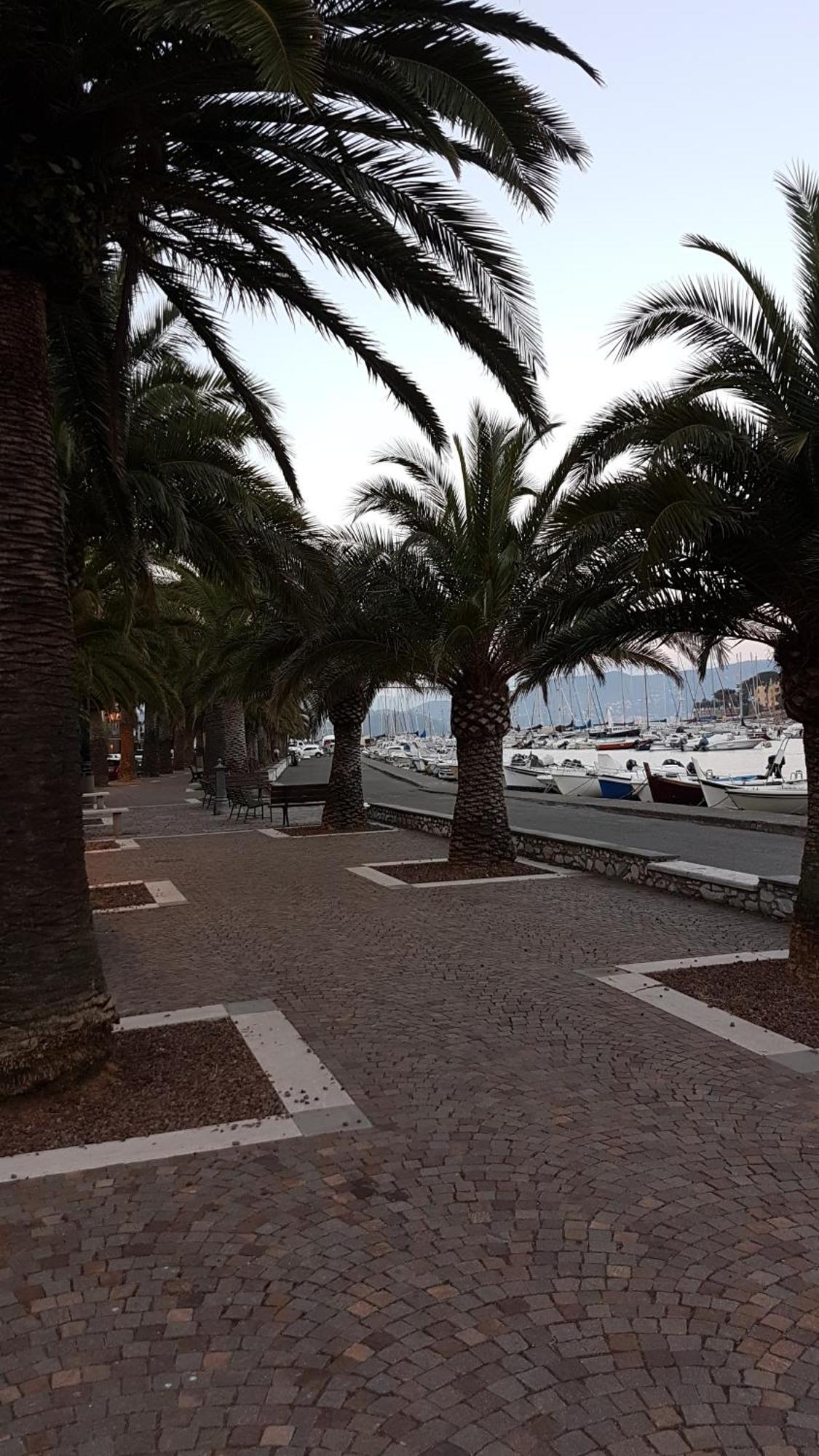 La Stanzetta Dei Rosa Leilighet Porto Venere Eksteriør bilde